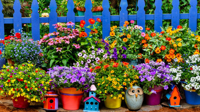 Agriculture & Garden