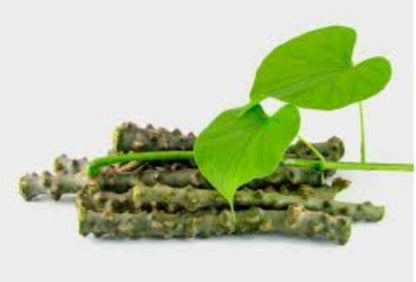 Seeds Giloy Sticks