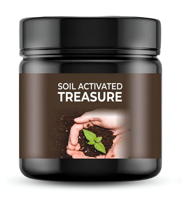 Soil Active Treasure Fertilizer | Potting Mix Soil for Plants ( Pack Of 2 )