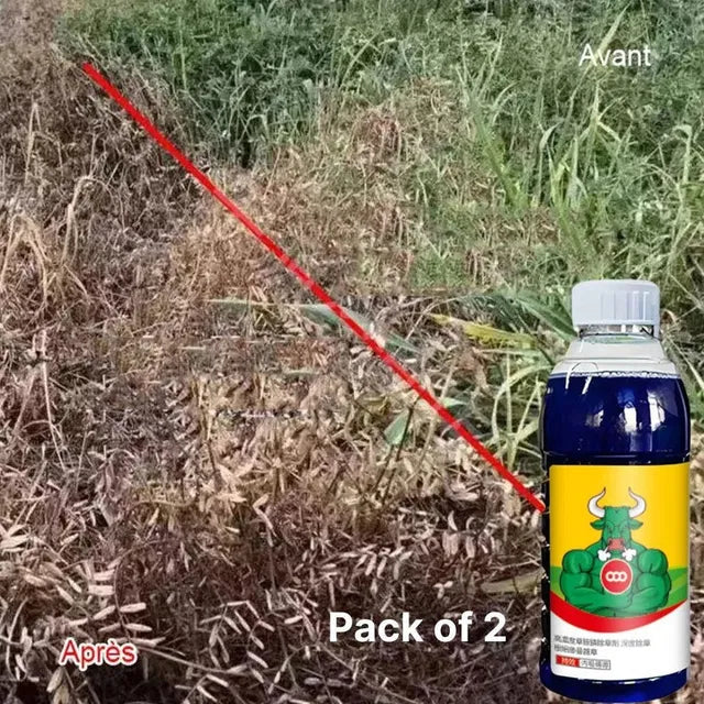 High-Concentration Glufosinate Herbicide All Crop (Pack of 2)